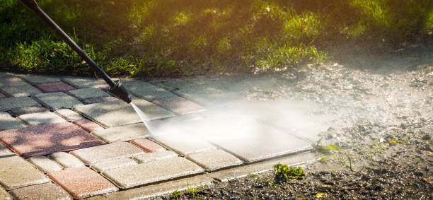 Animal Enclosure Cleaning in Westville, OK